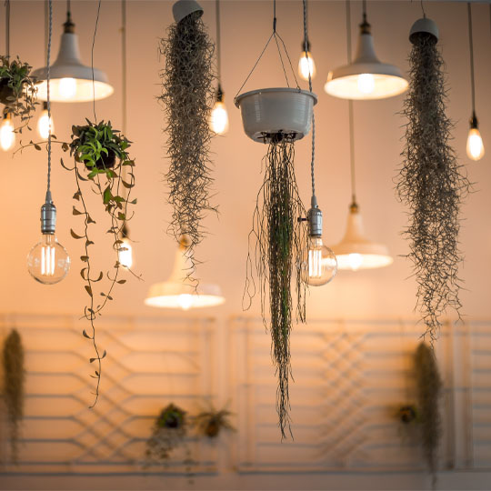 Luminaire